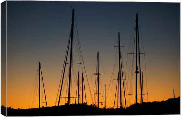 Sunset Sails Canvas Print by Georgie Lilly