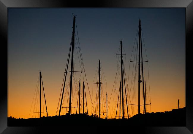 Sunset Sails Framed Print by Georgie Lilly