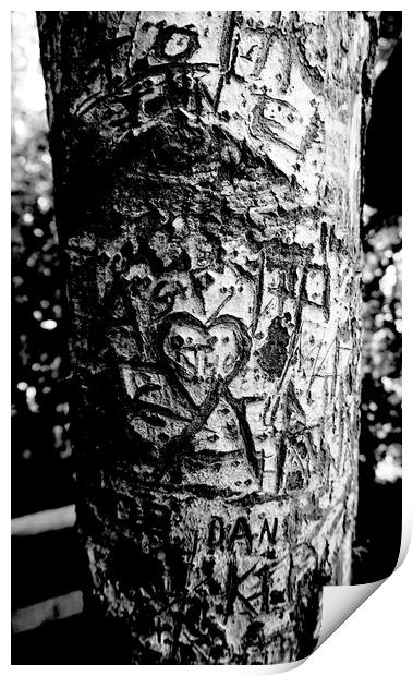 Sacrificial Tree Print by Georgie Lilly