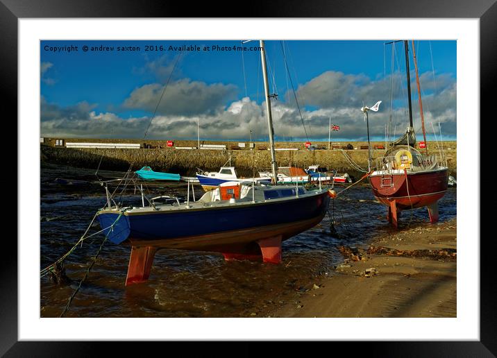 MATES. Framed Mounted Print by andrew saxton