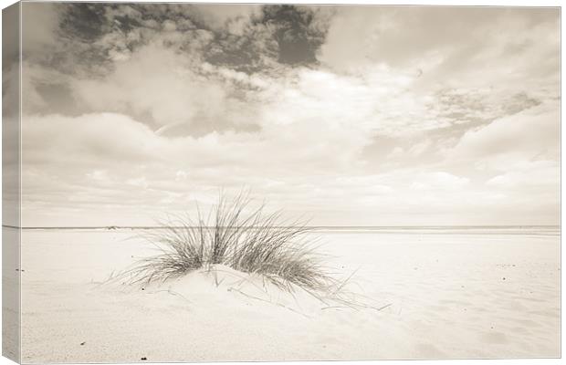 Lone Dune Canvas Print by Simon Wrigglesworth