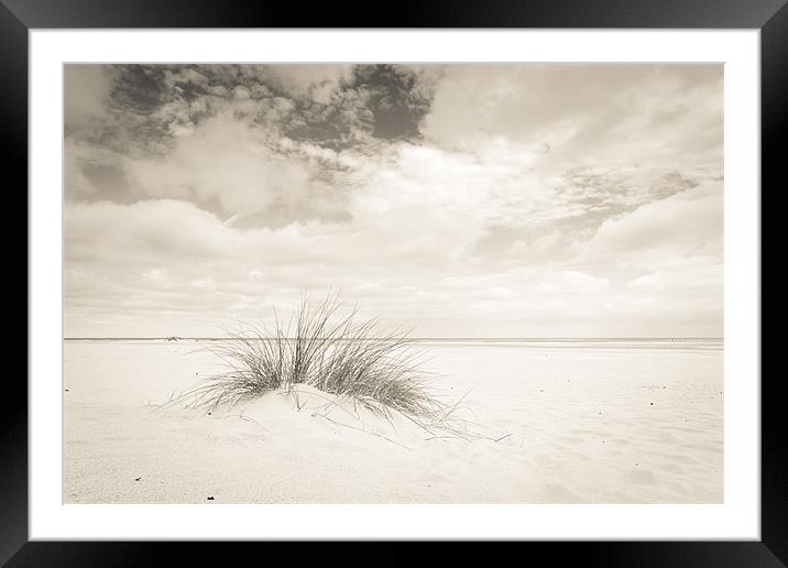Lone Dune Framed Mounted Print by Simon Wrigglesworth