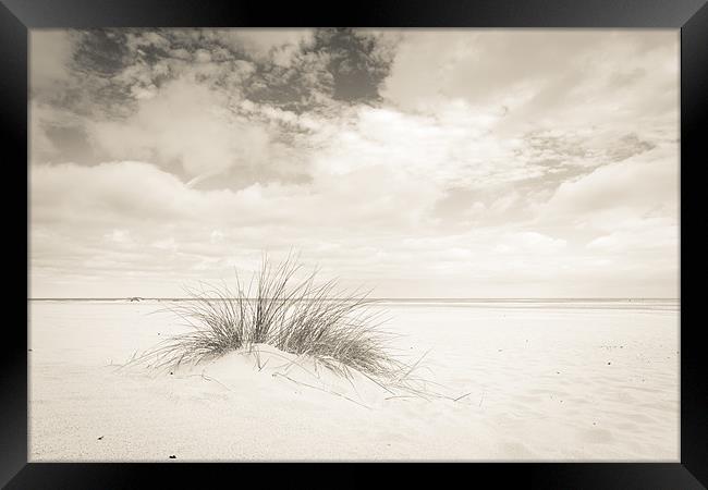 Lone Dune Framed Print by Simon Wrigglesworth