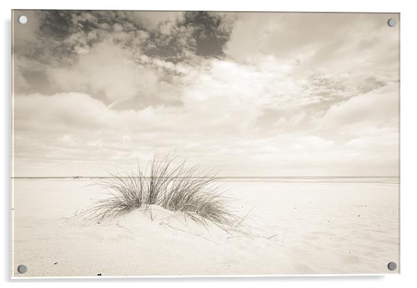 Lone Dune Acrylic by Simon Wrigglesworth