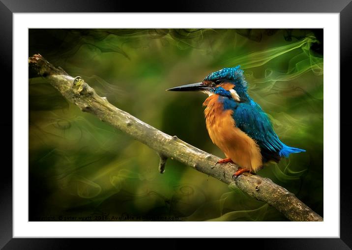 The Kingfisher Framed Mounted Print by peter wyatt