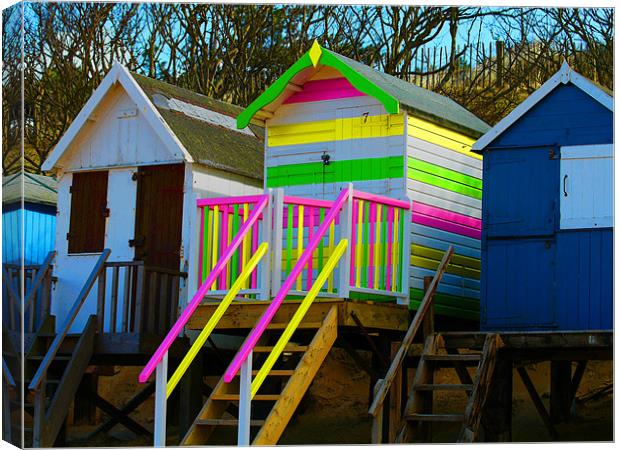 Beach Huts Canvas Print by David French