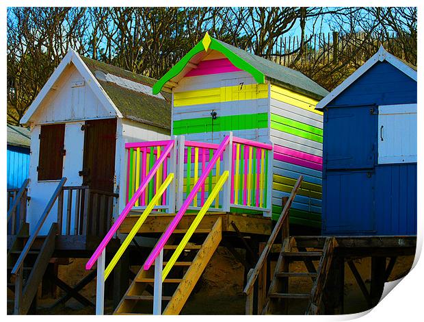 Beach Huts Print by David French