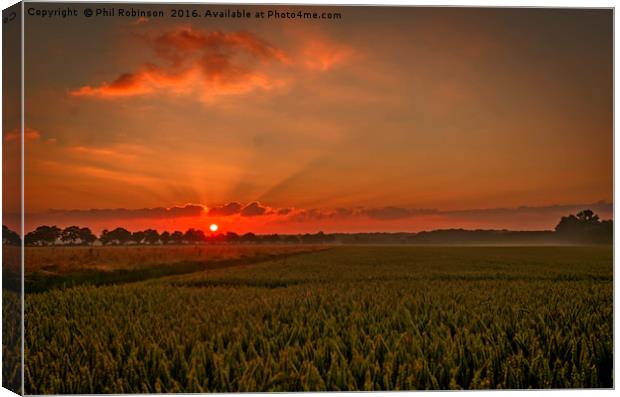 A lovely sunset landscape  Canvas Print by Phil Robinson