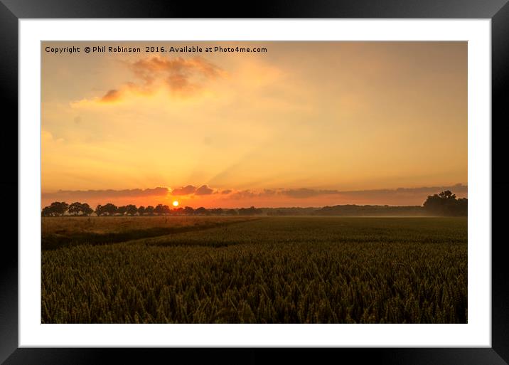 Sunrise on a stunning morning Framed Mounted Print by Phil Robinson
