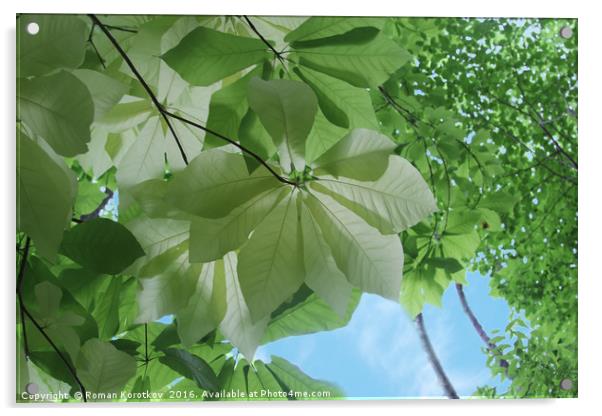Green leaves Acrylic by Roman Korotkov