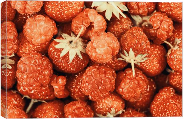 Raspberry And Strawberry Pile In Fruit Market Canvas Print by Radu Bercan