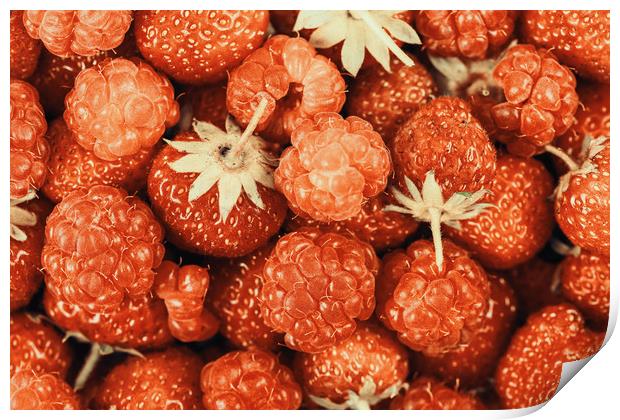 Raspberry And Strawberry Pile In Fruit Market Print by Radu Bercan