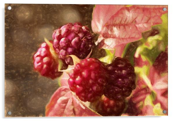 painted rasberries Acrylic by sue davies