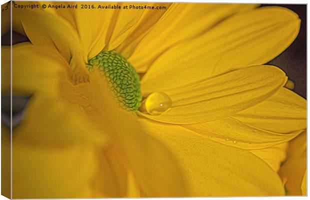 Droplet. Canvas Print by Angela Aird