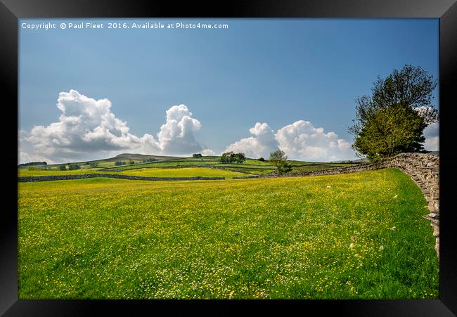 Vibrant Wildflower Meadow Framed Print by Paul Fleet