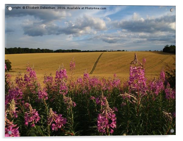 Rosebay Willowherb by a cornfield Acrylic by Elizabeth Debenham