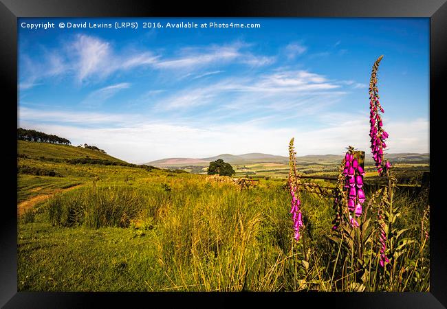 Northumberland Hills Framed Print by David Lewins (LRPS)