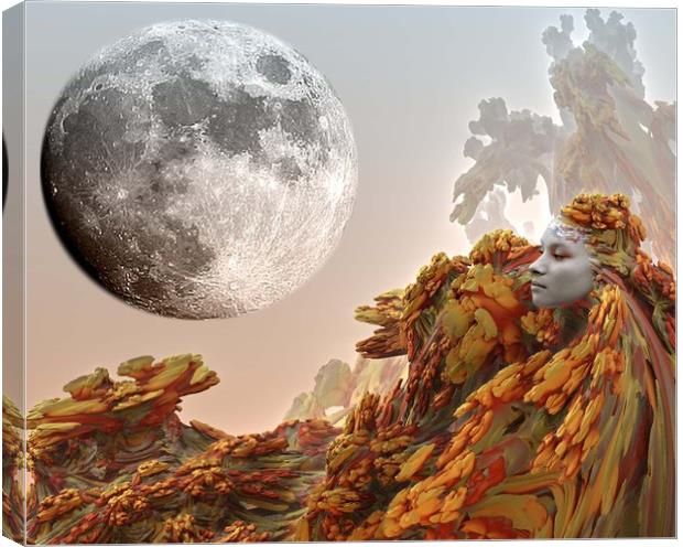Moon Journey Canvas Print by Matthew Lacey