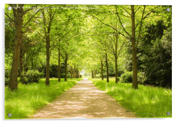 Beautiful Woodland Walk Acrylic by Stewart Nicolaou