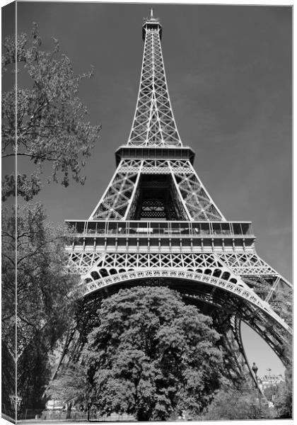 Eiffel Tower Canvas Print by Dave Livsey