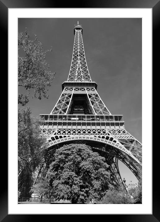 Eiffel Tower Framed Mounted Print by Dave Livsey