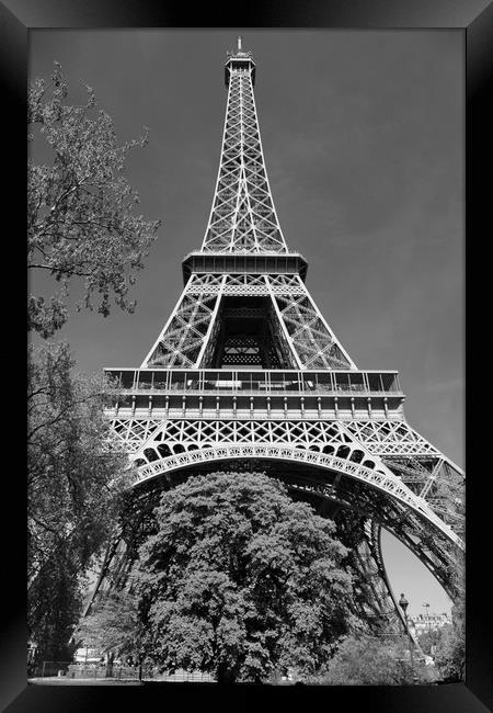 Eiffel Tower Framed Print by Dave Livsey
