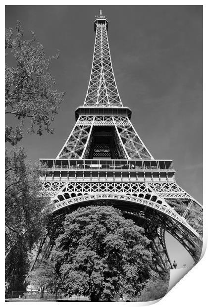 Eiffel Tower Print by Dave Livsey