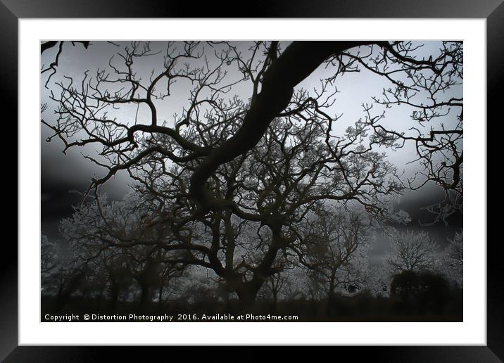 Twisted Framed Mounted Print by Distortion Photography