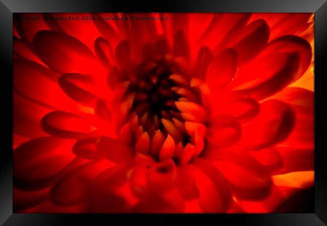 Red. Framed Print by Angela Aird