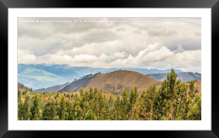 Ecuadorian Landscape at Chimborazo Province Framed Mounted Print by Daniel Ferreira-Leite