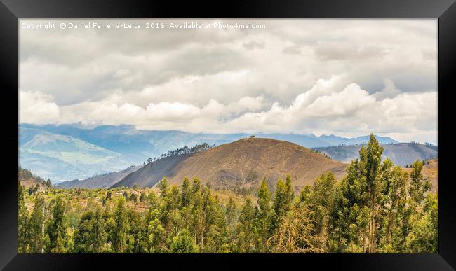 Ecuadorian Landscape at Chimborazo Province Framed Print by Daniel Ferreira-Leite