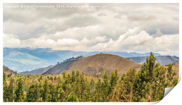 Ecuadorian Landscape at Chimborazo Province Print by Daniel Ferreira-Leite