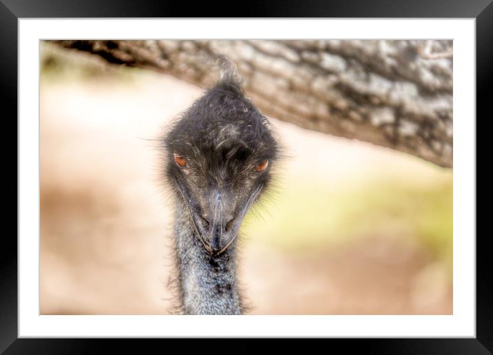 Look into the Eyes, Not around the Eyes Framed Mounted Print by peter tachauer