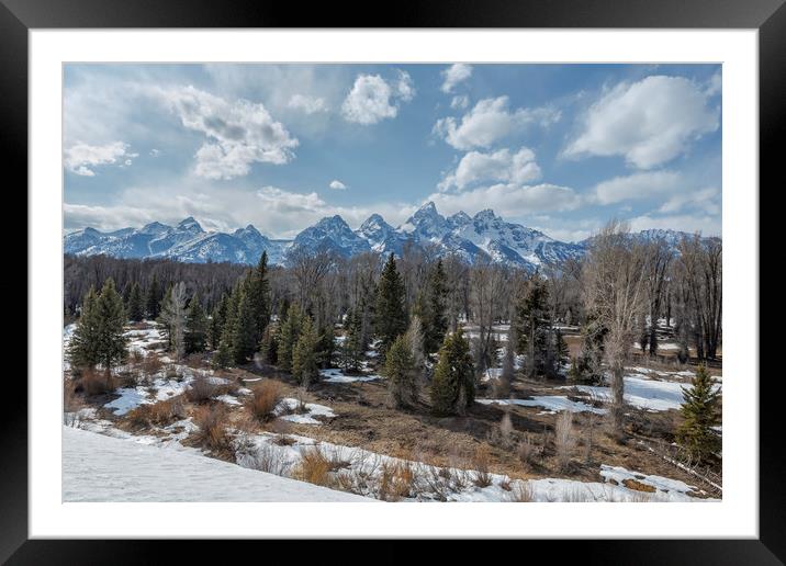 Grand Tetons from Schwabacher Road Framed Mounted Print by Belinda Greb