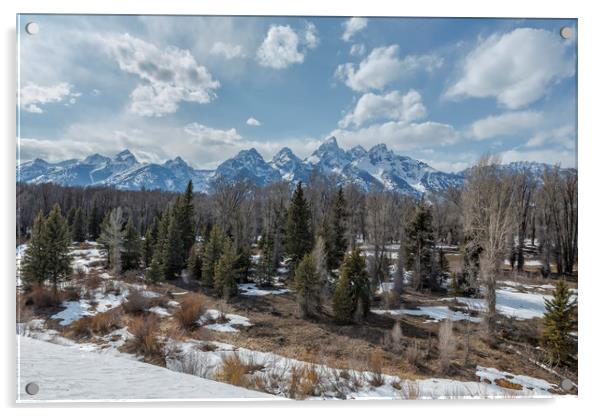 Grand Tetons from Schwabacher Road Acrylic by Belinda Greb