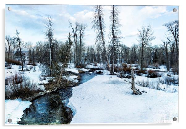 Dreaming of Cottonwood Creek Acrylic by Belinda Greb