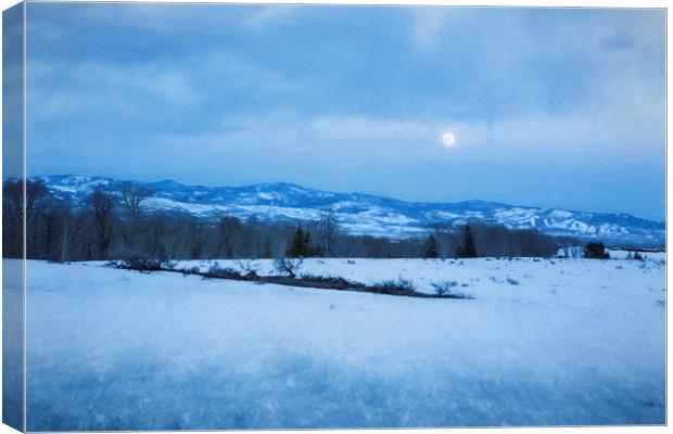 Full Moon Over a Field of Snow Canvas Print by Belinda Greb