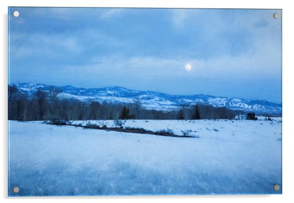 Full Moon Over a Field of Snow Acrylic by Belinda Greb