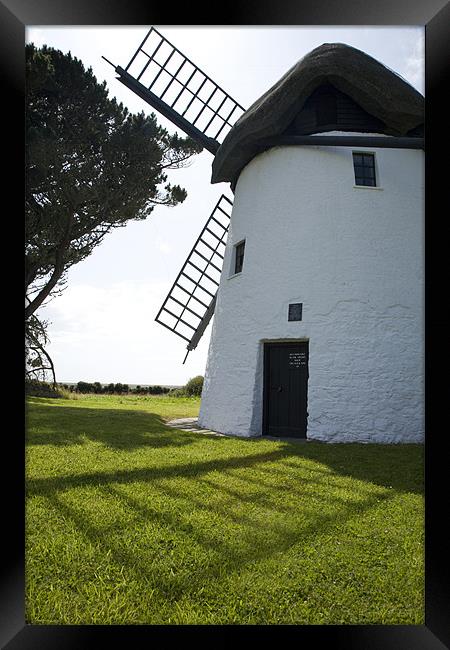 Tacumshane windmill Framed Print by Ian Middleton