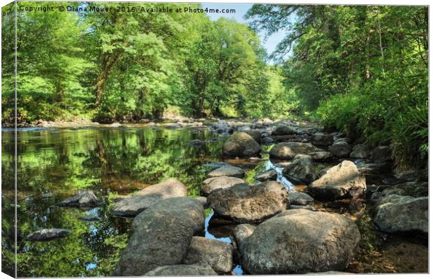 River Dart  Canvas Print by Diana Mower