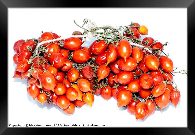 Tomatoes of Vesuvius Framed Print by Massimo Lama