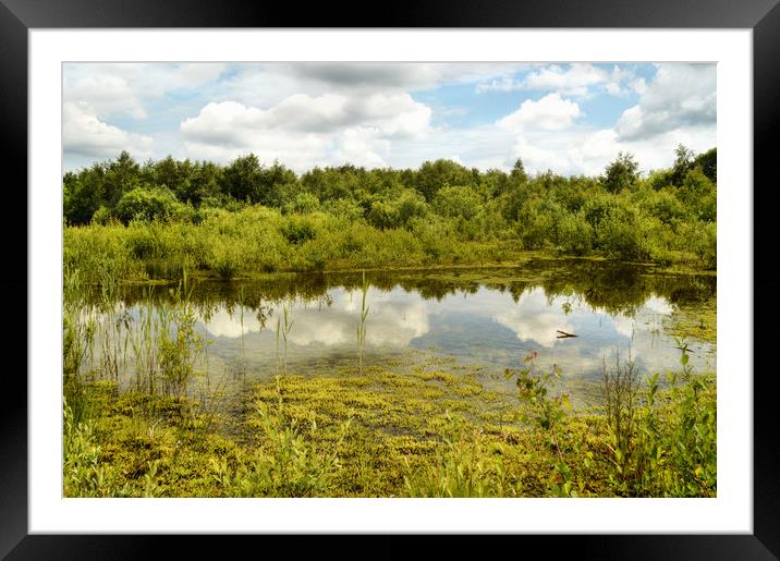 Hatfield Moors Framed Mounted Print by Sarah Couzens