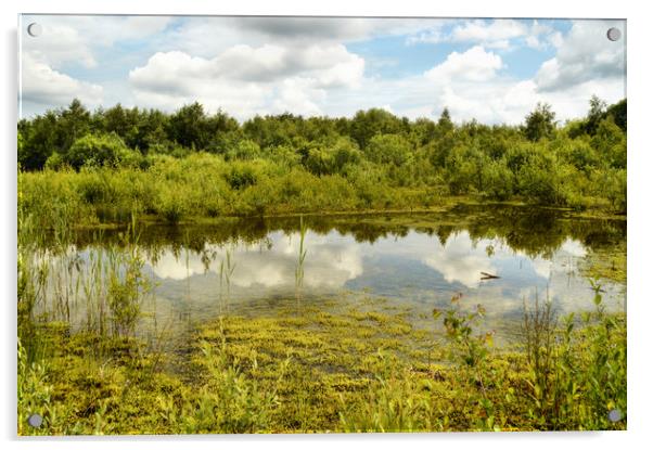 Hatfield Moors Acrylic by Sarah Couzens