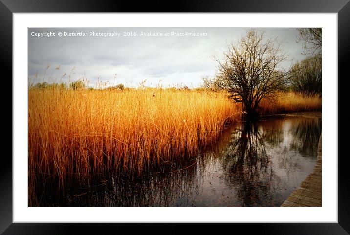 Distorted Reflections Framed Mounted Print by Distortion Photography