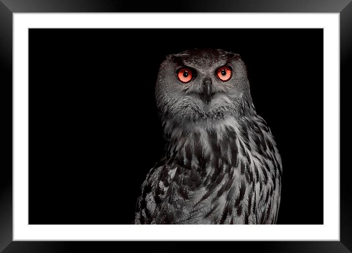 The guardian if the night Framed Mounted Print by Andy Toby