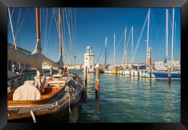 Sailing Boats in Venice Framed Print by Carolyn Eaton