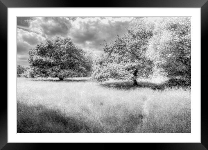 The Peaceful Meadow Framed Mounted Print by David Pyatt