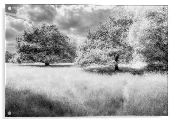 The Peaceful Meadow Acrylic by David Pyatt