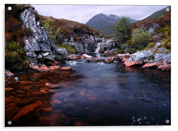 Glen Affric Acrylic by Macrae Images