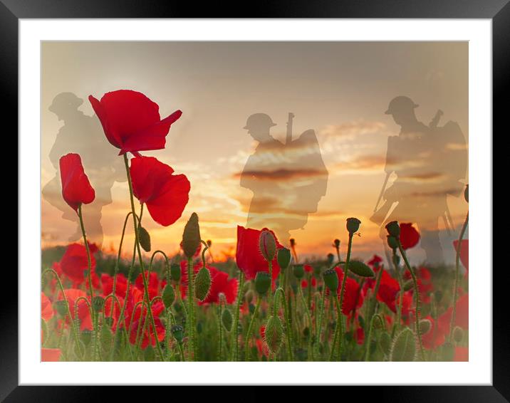 Remembrance Framed Mounted Print by Phil Clements